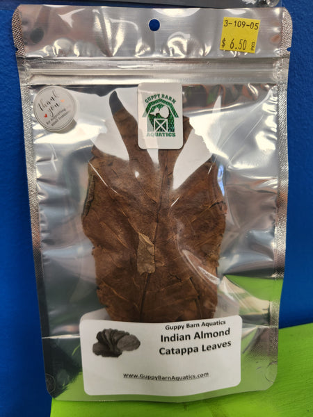 Indian Almond Catappa Leaves 5pk