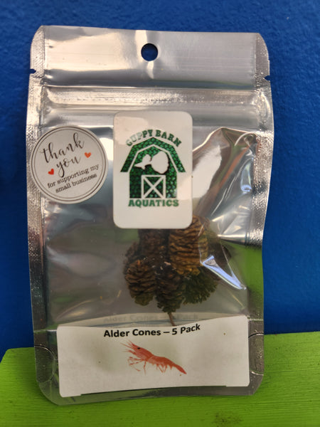 Alder Cones - 5 Pack