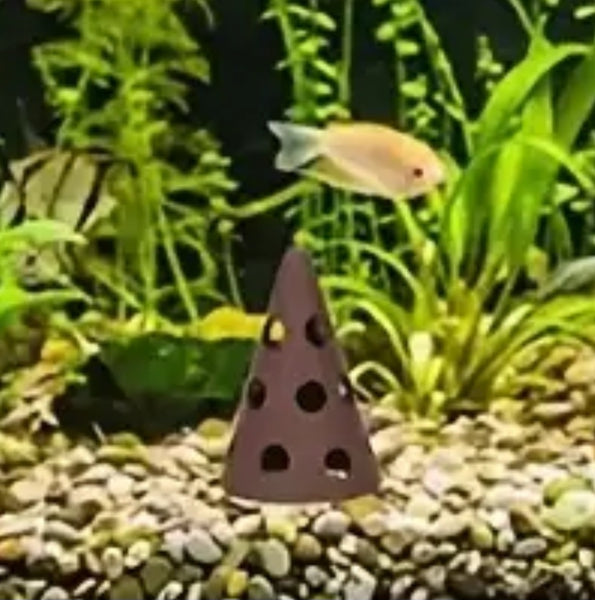 Ceramic Holy Shrimp Cone