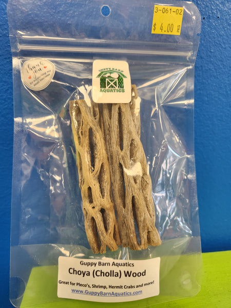Choya Cholla Wood - Small
