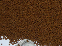 Alpha & Omega - INTENSE Cichlid Color Food (1.5 mm Floating Pellet)