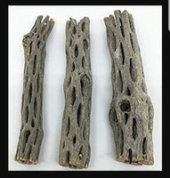 Choya Cholla Wood - Small