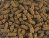 Guppy Barn Aquatics - SUPREME Shrimp Food Sticks with Calcium (New Formula)