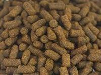 Guppy Barn Aquatics - SUPREME Snail Food Sticks with Calcium (New Formula)